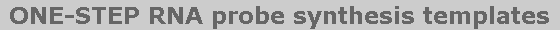 RNA probe synthesis templates