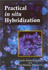 Oligonucleotide probes for in situ hybridization